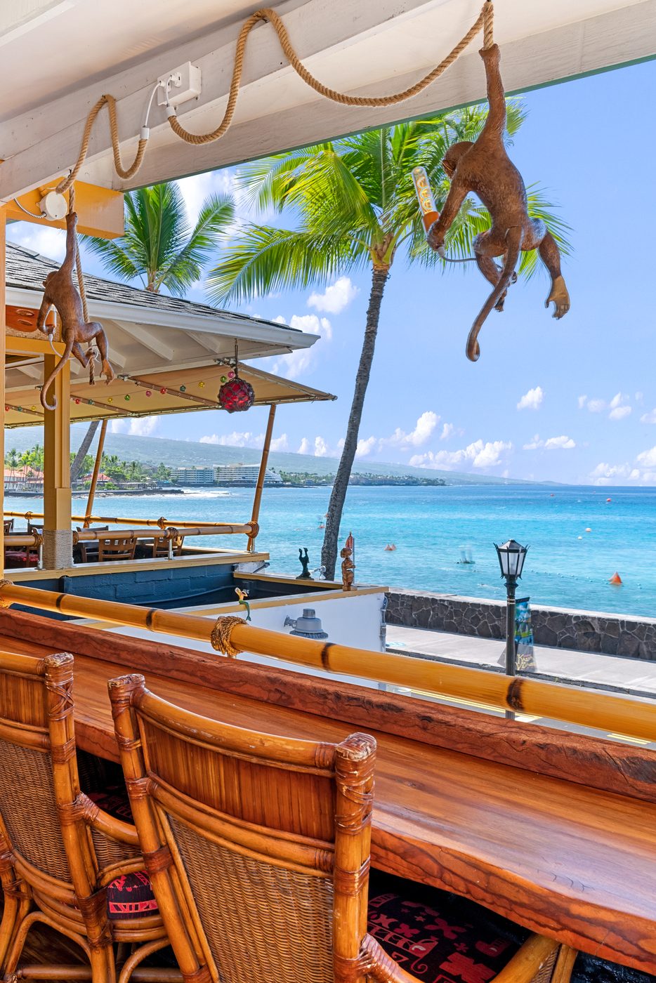 Bar with hanging monkey and ocean view